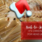 Lice infestation wearing a santa hat during the back to school season.